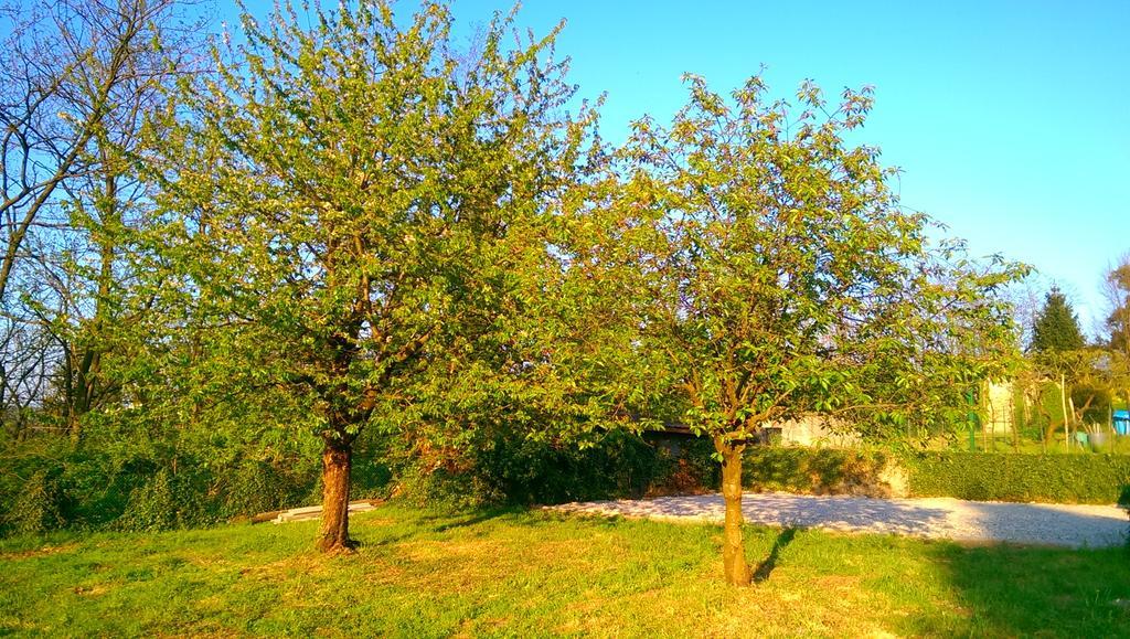 B&B Vinago Belvedere Mornago Екстер'єр фото
